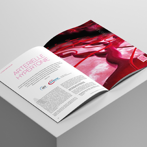 Cover: DFP Literaturstudium