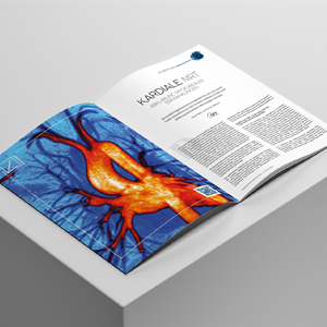 Cover: DFP Literaturstudium