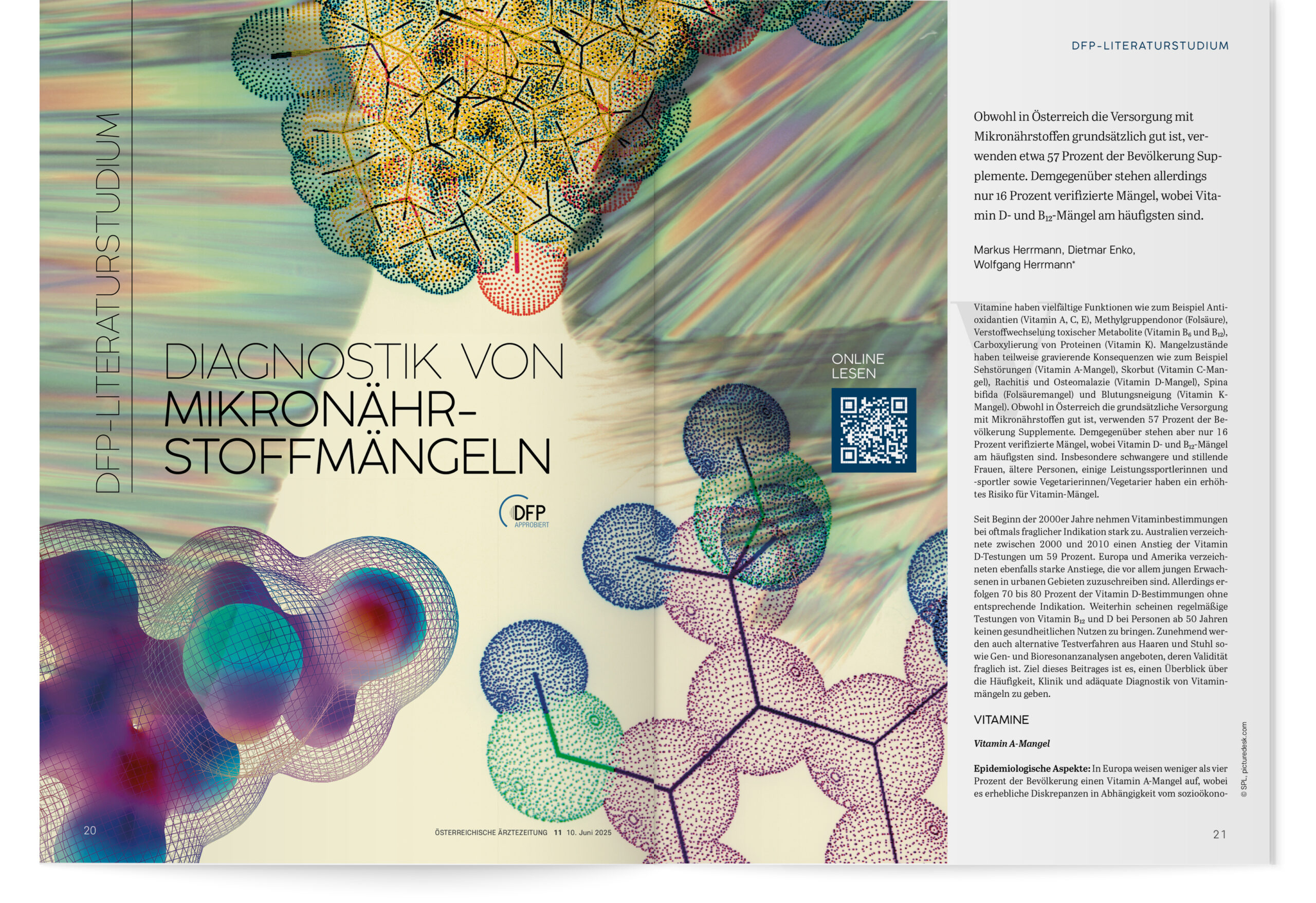 DFP-Literaturstudium: Diagnostik von Mikronährstoffmängeln